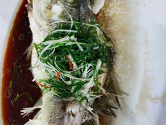 -院里寻菜·祖庵菜宴请(观沙岭店)