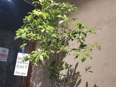 -日上三甘(三里屯店)