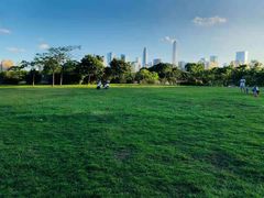 -DJI大疆(深圳华强北曼哈授权体验店)