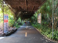 -广东茂名森林公园