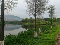 -飞来湖湿地公园