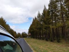 -塞罕坝国家级自然保护区