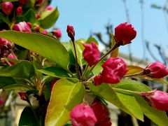 景观位-卫鼎轩·曹公馆(鼓楼店)