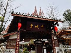 -青城甲(青城山店)