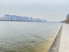 -渭滨公园