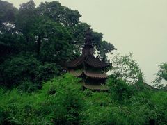 -涂山寺素食餐厅