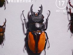 -燕莎友谊商城(亮马桥店)