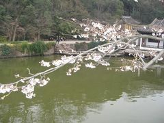 -苏州吴中太湖旅游区