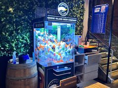 -Goose Island Brewhouse鹅岛精酿啤酒餐厅