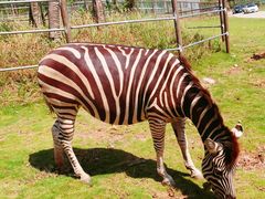 -南京金牛湖风景区