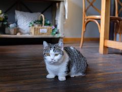 -IFIF 如果花園(宽厚里店)