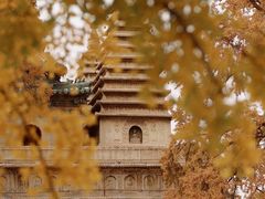 -北京石刻艺术博物馆(五塔寺)