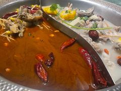 -麻田会 ·牛蛙火锅(珠江新城维家思广场店)