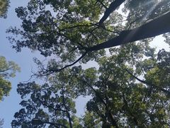 -南山植物园