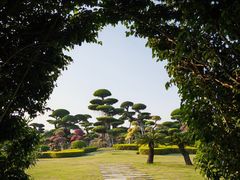 -南宁南湖公园