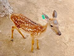 -秦皇岛野生动物园