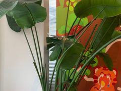 -GOOD GOODS咖啡店(南园店)