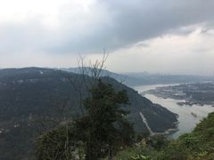 -铁山坪森林公园