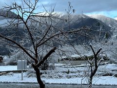 -林芝工布庄园希尔顿酒店-猎味中餐厅