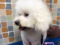 -宠颐生猫科·内科皮肤科(西平世纪城店)