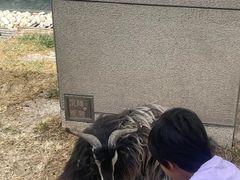 -廊坊固安福朋喜来登酒店