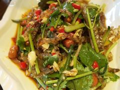凉拌鱼皮-醉美东江·三文鱼·烧鸡公