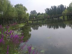 -东郊湿地公园