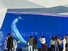 -泉城欧乐堡海洋极地世界