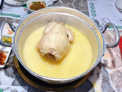 金牌花胶鸡煲-禄婶鸡煲·打边炉