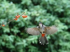 -上海市龙华烈士陵园