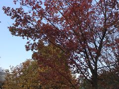 -香山公园-东宫门售票处