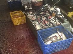 -岳各庄批发市场(西四环中路店)