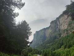 -重庆睡佛山森林公园