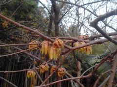 android_upload_pic-万佛塔公园