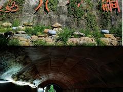 -八奇洞景区