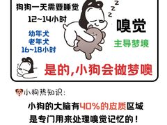 -美联众合动物医院·24h转诊中心