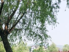 -石塘人家