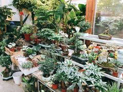 -双季花艺园艺市场(浦东店)