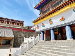 -塔尔寺菩提树