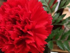 -瑶王府·广西菜(茶花园店)
