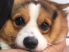 -东怡大酒店(上海科技馆店)