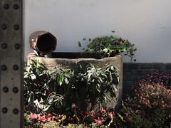 -慢丽江·云南野生菌土鸡锅(西山店)