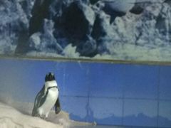 -新疆天山野生动物园