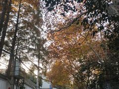 -中国医学科学院皮肤病医院