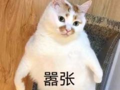 -必胜客(滨江店)