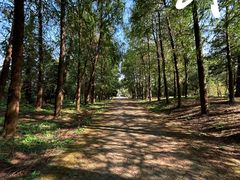 -上海海湾国家森林公园