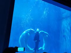 -多彩贵州城极地海洋世界