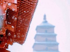 -西安城墙·碑林历史文化景区