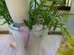 -探窝·竹笙椰子鸡(杨箕店)