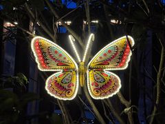 -上街里市集(悦喜客来广场店)